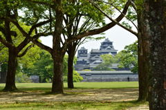 熊本城