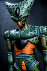 セル（第一形態）