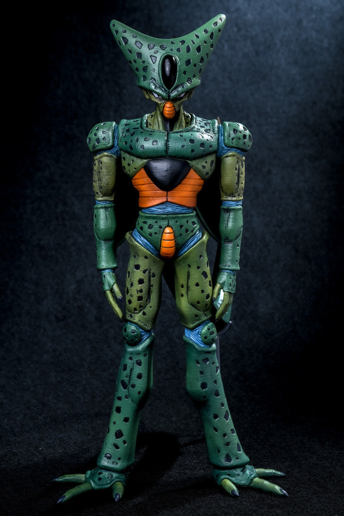 セル（第一形態）