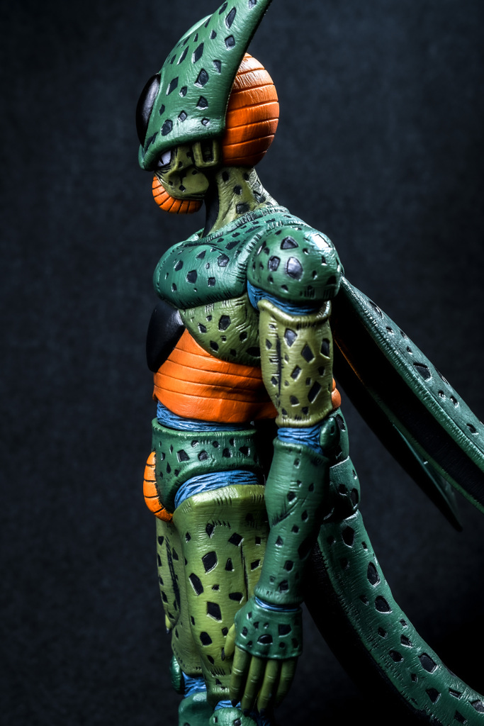 セル（第一形態）