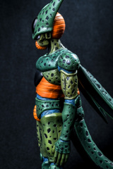 セル（第一形態）