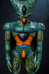 セル（第一形態）