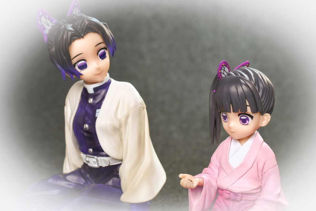 胡蝶しのぶ&栗花落カナヲ