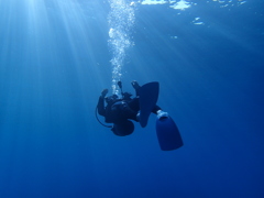 水の中での日光浴！！