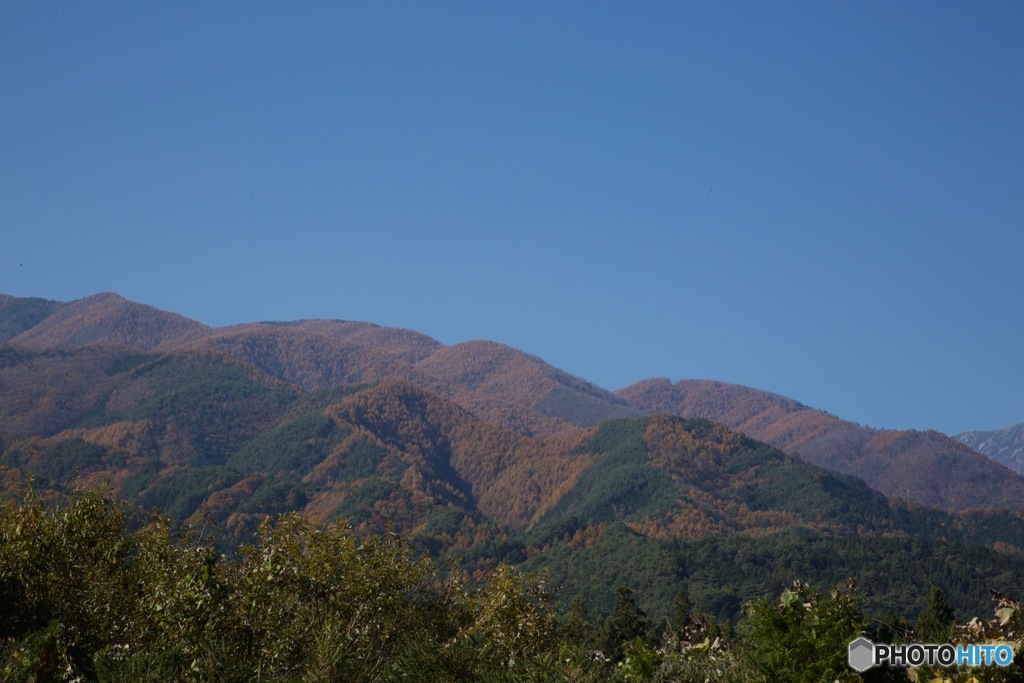 駒ヶ岳SA