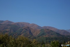 駒ヶ岳SA