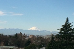 杉並区よりの富士山