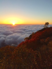 燕山荘より