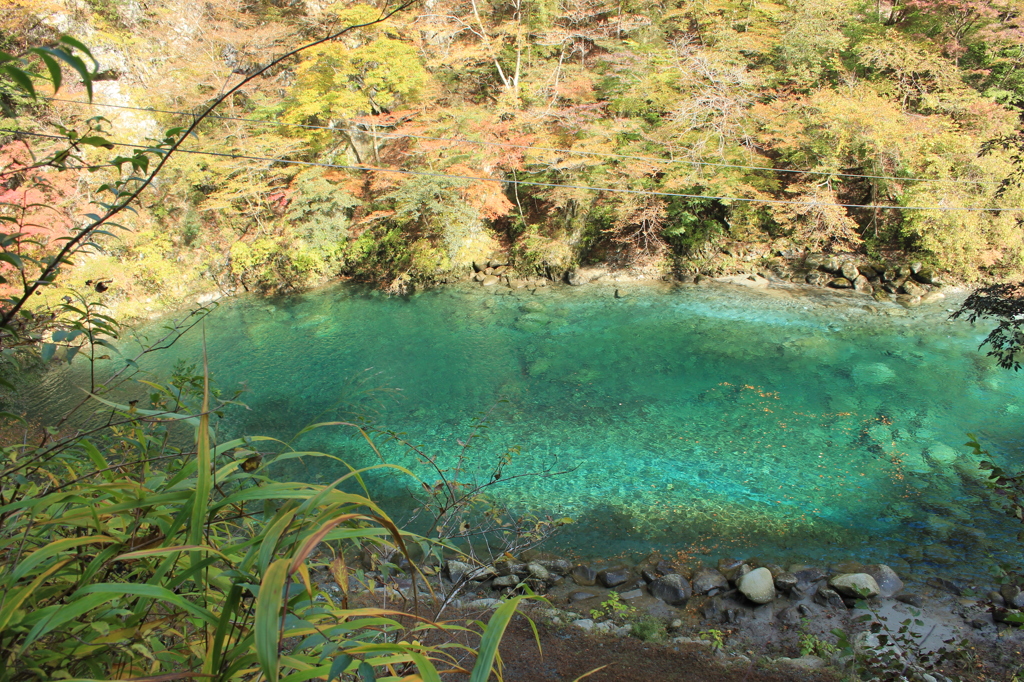 癒しの水イロ