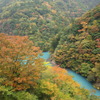 寸又峡の紅葉