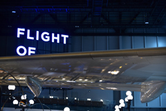 FLIGHT OF DREAMS