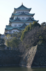 北側の名古屋城