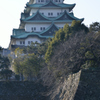 北側の名古屋城