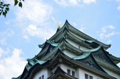 輝くシャチホコ