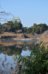 お堀から天守閣