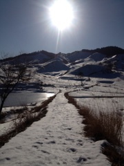 真冬の砥峰高原