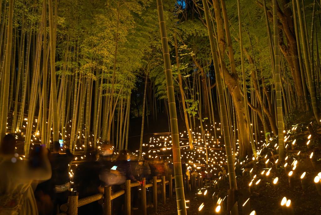 小机城址公園竹灯籠祭り