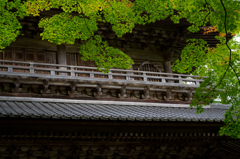 永源寺　山門