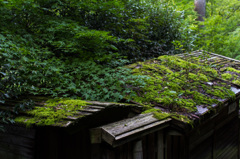 苔屋根の案内所