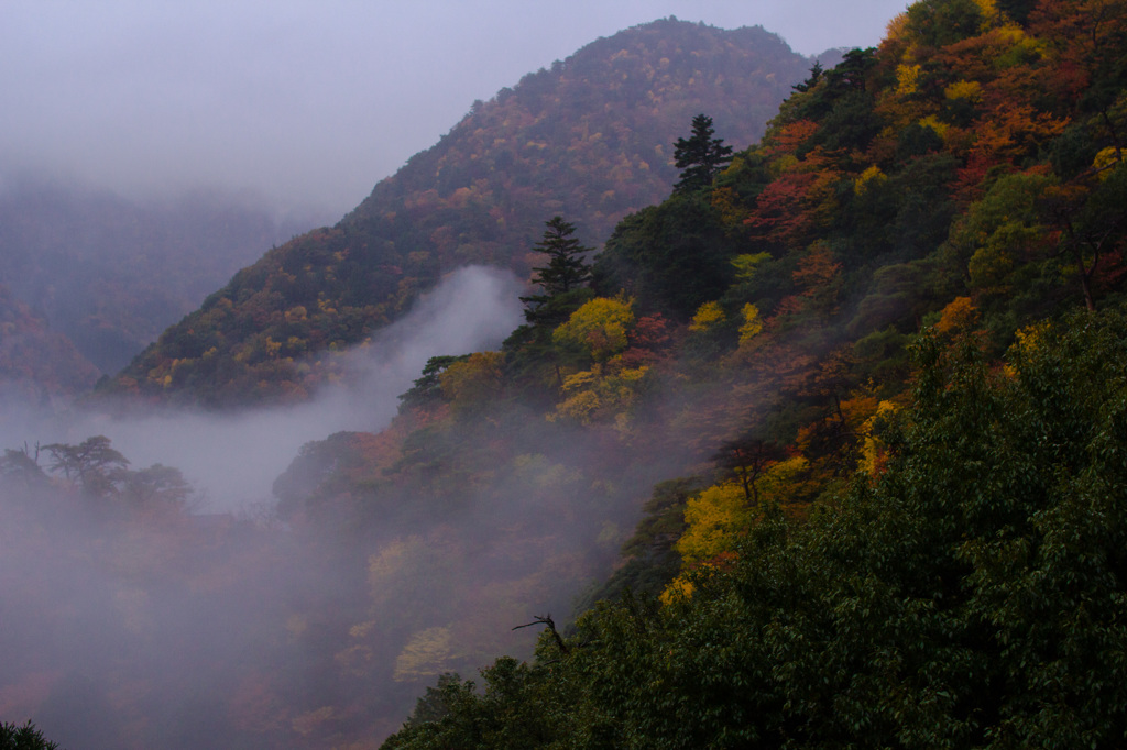 霧の鈴鹿山脈