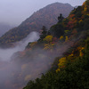 霧の鈴鹿山脈