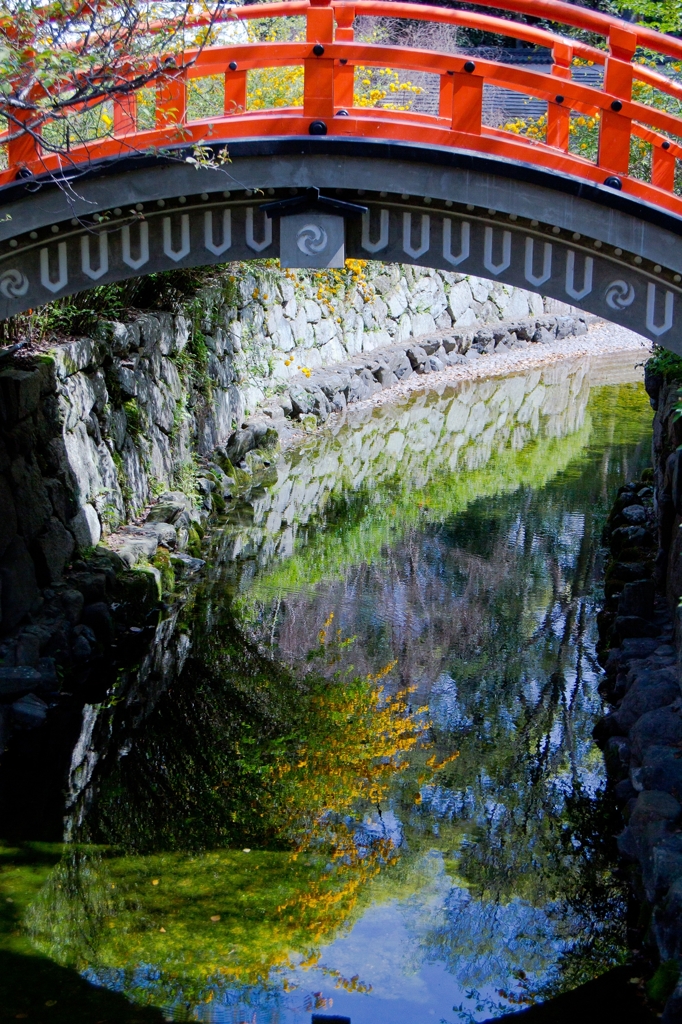 下賀茂神社　御手洗池