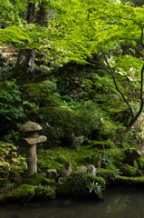 金剛輪寺　庭園石灯篭