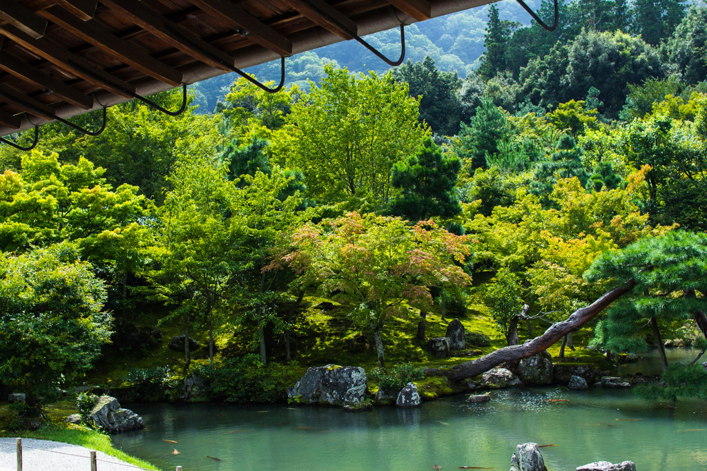 夏から秋へ