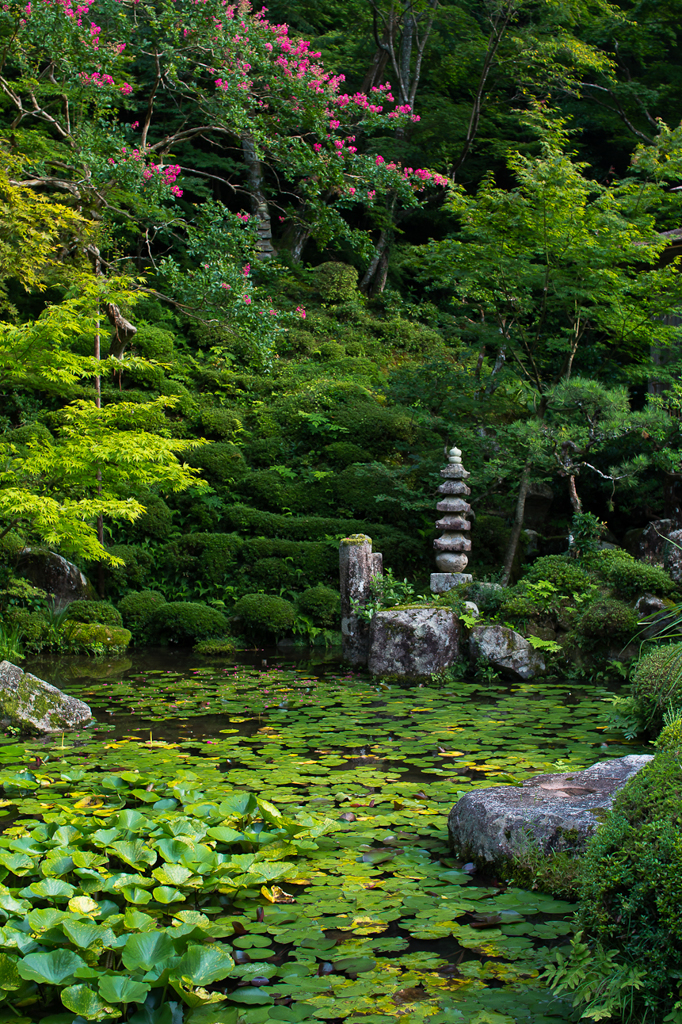 金剛輪寺　庭園石塔