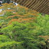 金剛輪寺