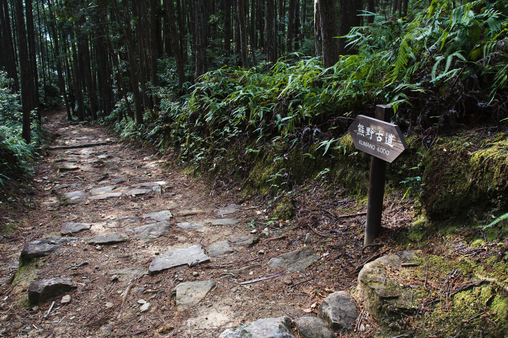 熊野古道　中辺路