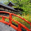 下鴨神社　輪橋と山吹