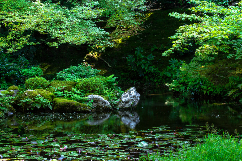 南禅院　曹源池 