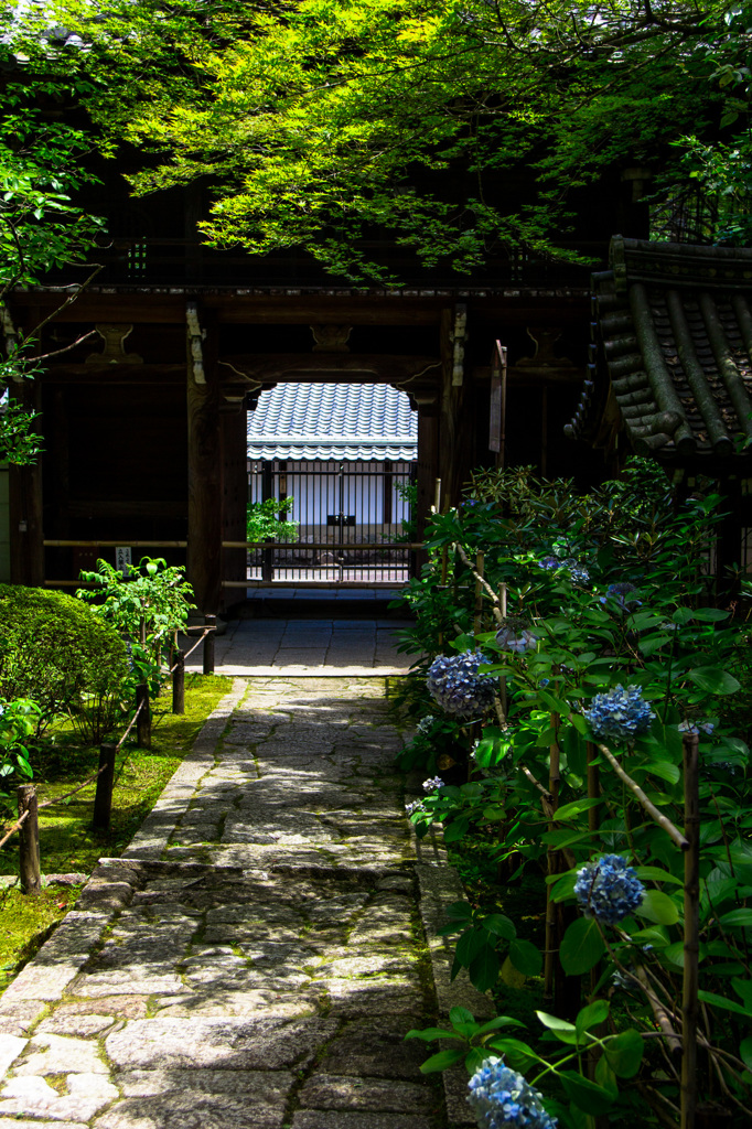 金地院　参道