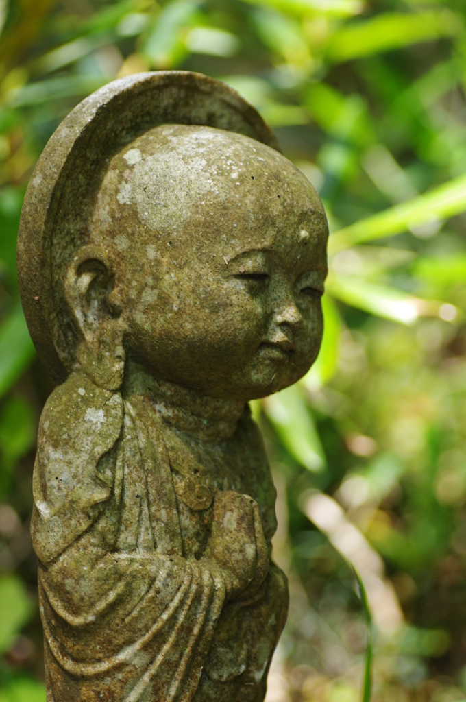 慈しむ