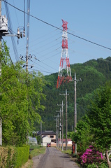 田舎道