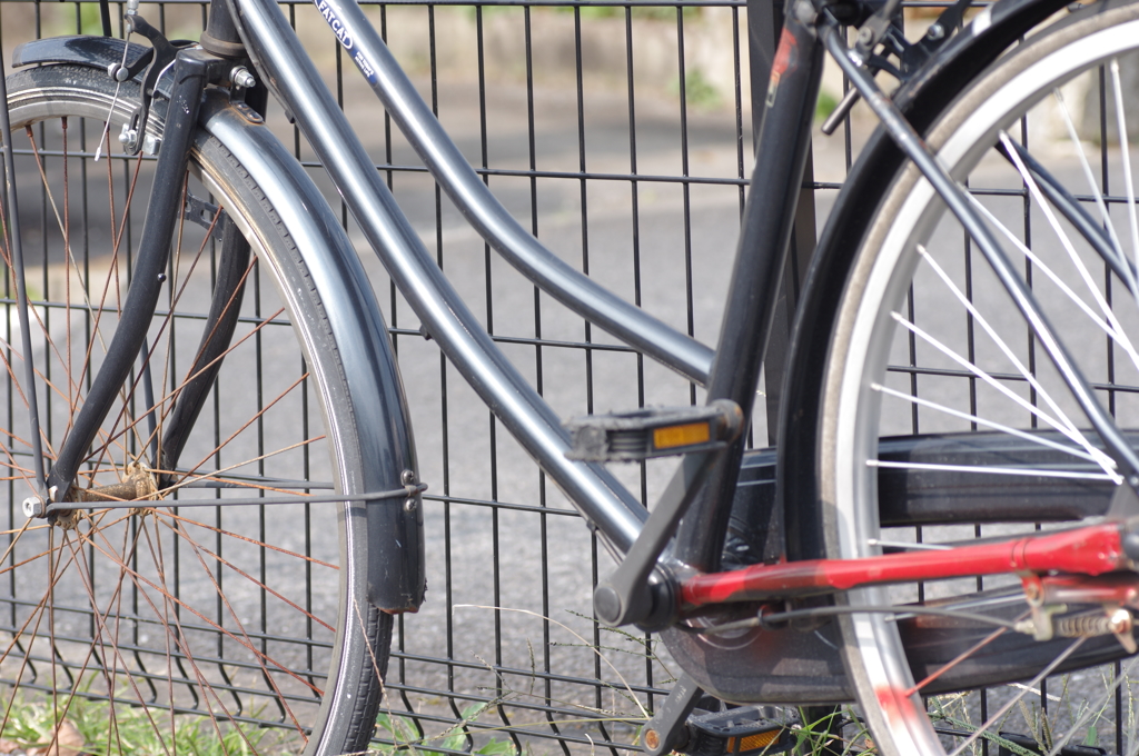 bicycle