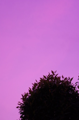 西空