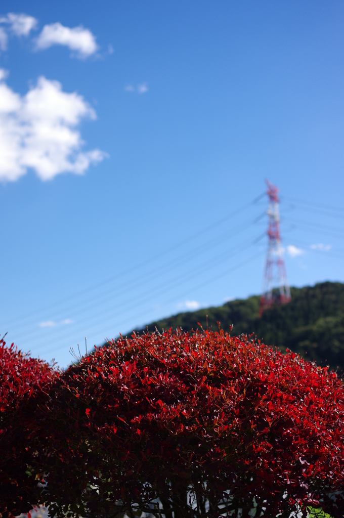 見上げれば