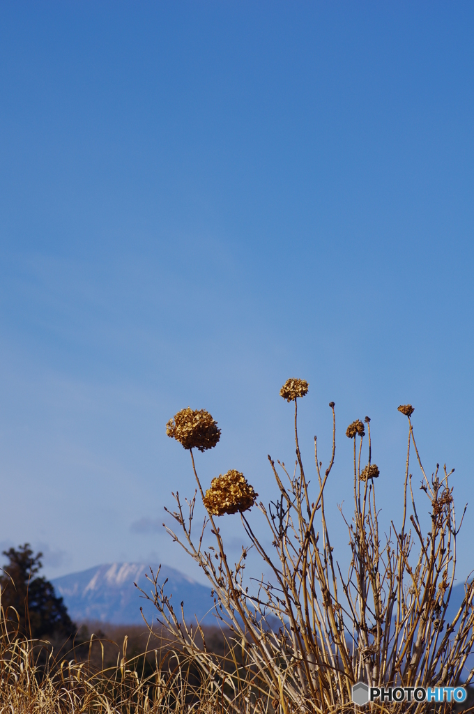 過ぎ去りし日々