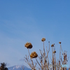 過ぎ去りし日々