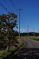 田舎みち