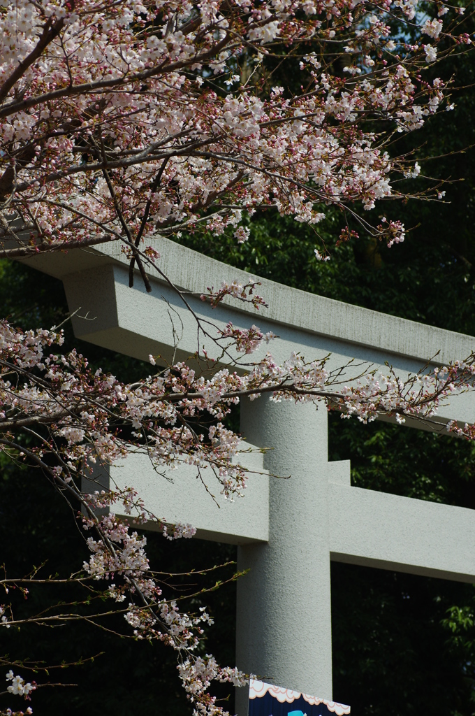 鳥居と