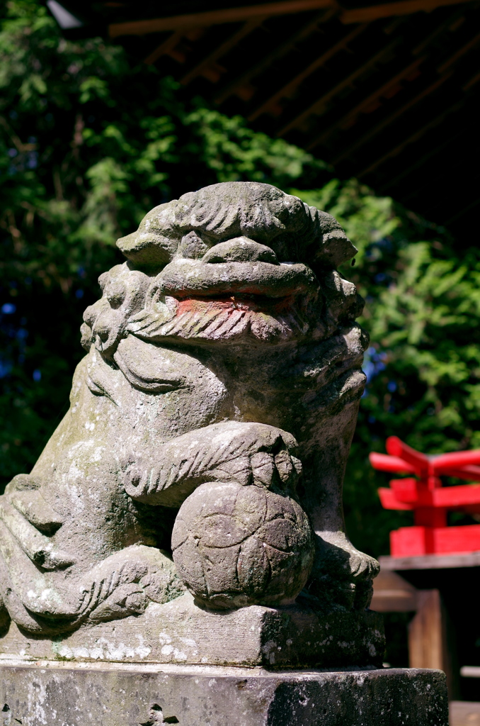 吽形