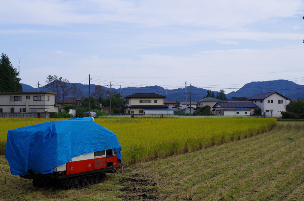 今日はここまで