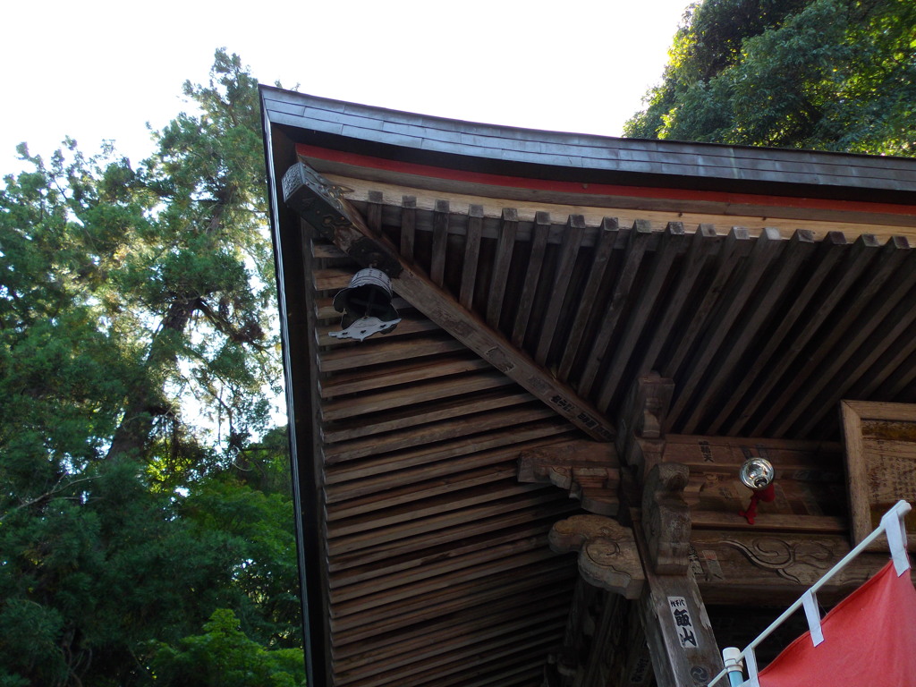 角フェチ