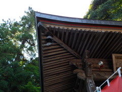 角フェチ