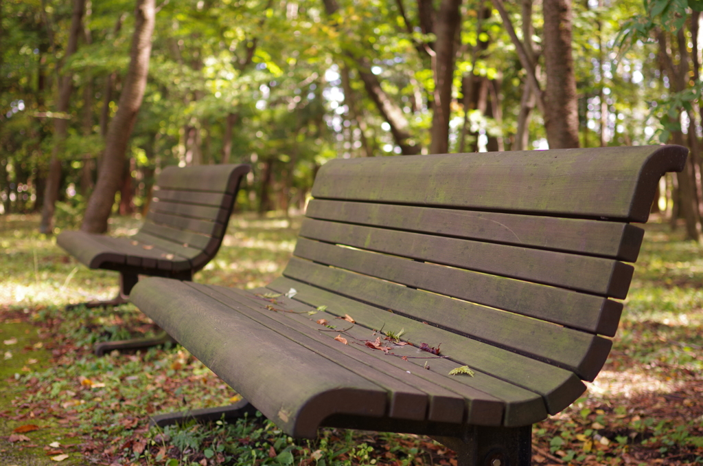 bench