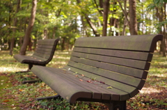 bench