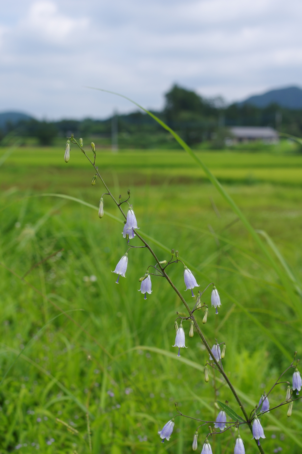 傍に居て